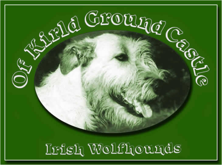 Kirld Ground Castle Irish Wolfhounds