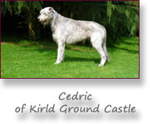 Cedric of Kirld Ground Castle