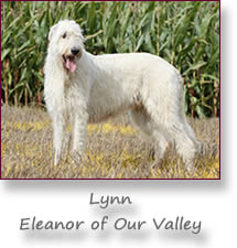 Eleanor of Our Valley