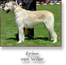 Erinn von Wilar