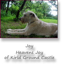 Heavens Joy of Kirld Ground Castle