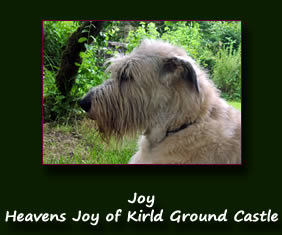 Heavens Joy of Kirld Ground Castle