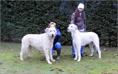 Fionnlagh Farrell Casidy Ray & Princess Meghan of Kirld Ground Castle