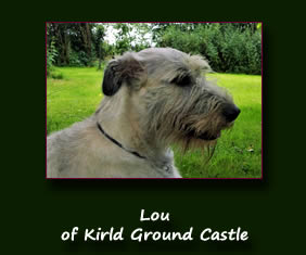 Lou of Kirld Ground Castle