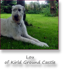 Lou of Kirld Ground Castle