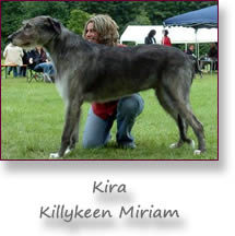 Killykeen Miriam