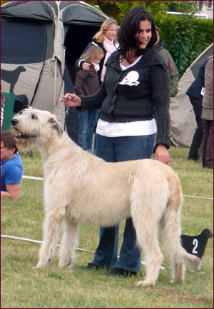 Nationale d'Elevage 2012 - Heavens Joy of Kirld Ground Castle