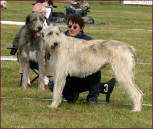 Nationale d'Elevage 2012 - Irish Dream of Kirld Ground Castle