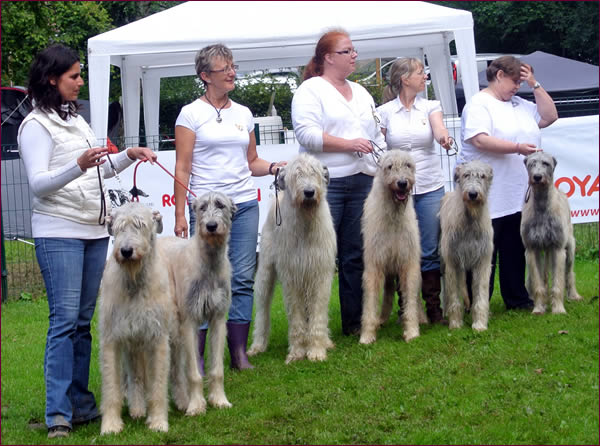 Escada of Kirld Ground Castle with offspring: Iago, Juster, J.K. Rowling, Lou, LilyRose (OKGC)