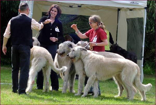 Juster, J.K. Rowling, Howard Hughes & Heavens Joy (OKGC)