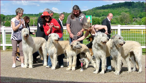 Juster, Escada, Kylam, Howard Hughes & J.K. Rowling (OKGC)