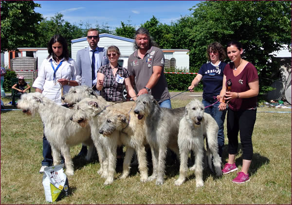 Lynn of Our Valley with Howard, Haily, Irish Dream, Kylam & Keggy (OKGC)