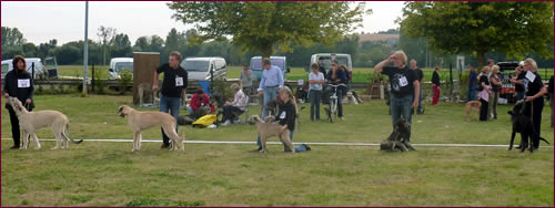 Nationale d'Elevage 2012 - Puppy Class females