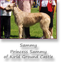 Princess Sammy of Kirld Ground Castle