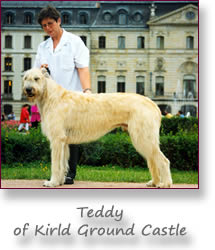 Teddy of Kirld Ground Castle