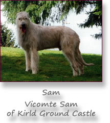 Vicomte Sam of Kirld Ground Castle