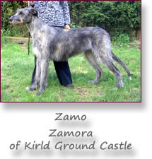 Zamora of Kirld Ground Castle
